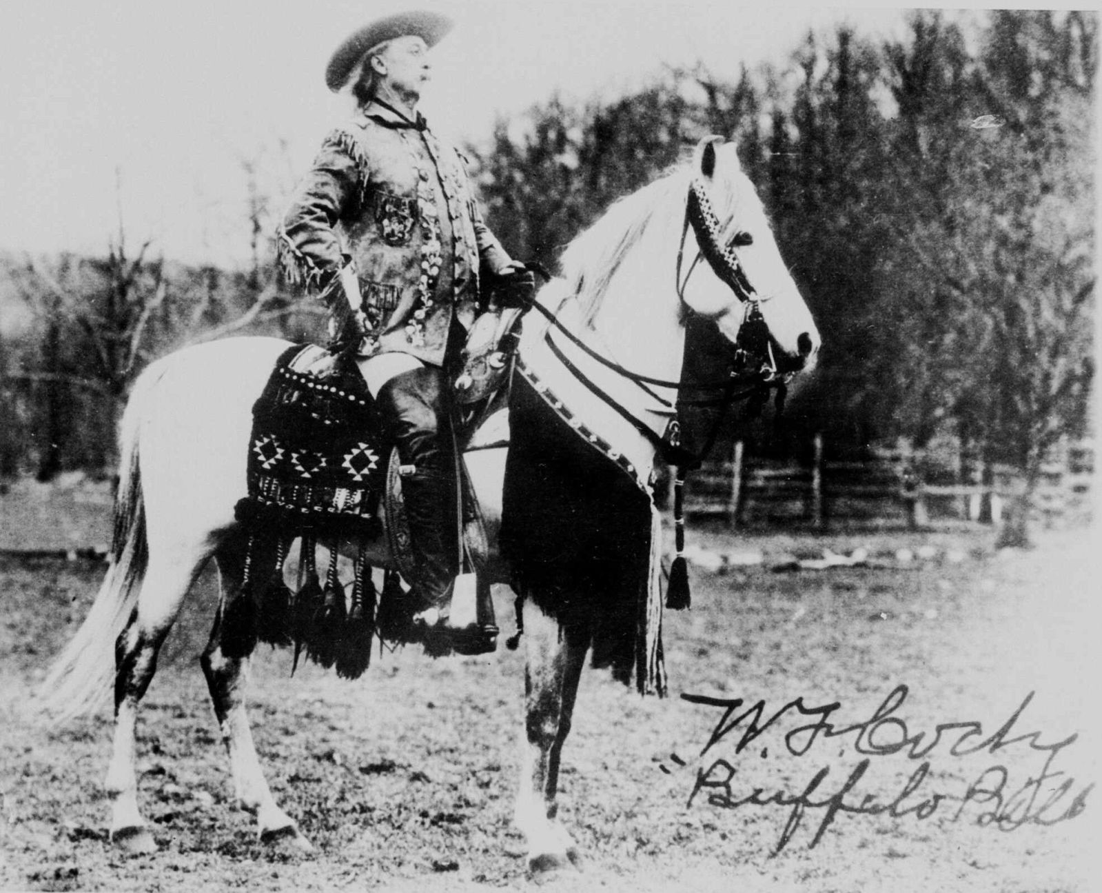 1917: "Buffalo Bill"